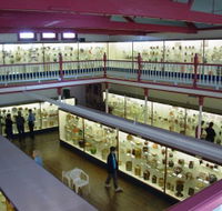 National Museum of Australian Pottery - Accommodation Cairns