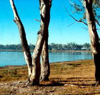 Lake Broadwater Conservation Park - Accommodation Cairns