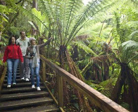  Accommodation Cairns