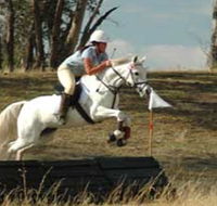 National Equestrian Centre - Kerrabee - Accommodation Cairns