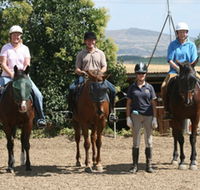 Forest Park Riding and Equitation School - Accommodation Cairns
