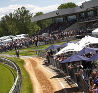Thoroughbred Park Canberra Racing Club - Horse Racing in the Nations Capital - Accommodation Cairns