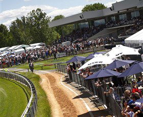 Thoroughbred Park Canberra Racing Club - Horse Racing In The Nations Capital - Accommodation Cairns 0