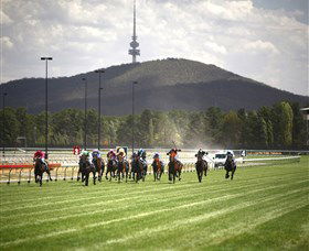 Thoroughbred Park Canberra Racing Club - Horse Racing In The Nations Capital - Accommodation Cairns 3