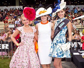 Thoroughbred Park Canberra Racing Club - Horse Racing In The Nations Capital - Accommodation Cairns 2
