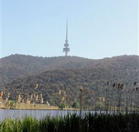 Black Mountain Peninsula - Accommodation Cairns