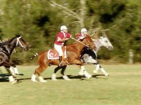 Morgan Park, Warwick - Accommodation Cairns 0