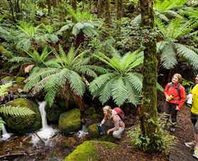  Accommodation Cairns