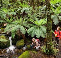 Baw Baw National Park - Accommodation Cairns