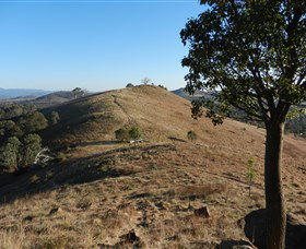 Urambi Hills - Accommodation Cairns 1