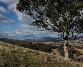 Urambi Hills - Accommodation Cairns 0