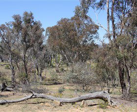 Canberra ACT Accommodation Cairns