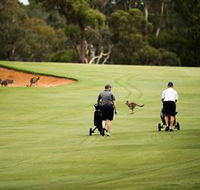 Federal Golf Club - Accommodation Cairns