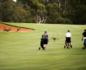 Federal Golf Club - Accommodation Cairns 0