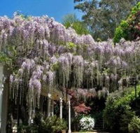 Nooroo Gardens - Accommodation Cairns