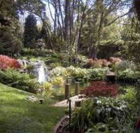 Windyridge Garden Mount Wilson - Accommodation Cairns