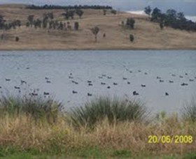 Lake Liddell Recreation Area - Accommodation Cairns 0