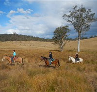 Chapman Valley Horse Riding - Accommodation Cairns