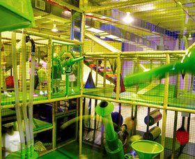 Monkey Mania - Accommodation Cairns 1