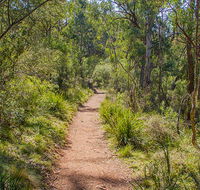 Mares Forest Creek walking track - Accommodation Cairns