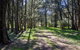 Wombeyan Waterfall Walking Track - thumb 0