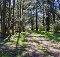 Wombeyan Waterfall walking track - Accommodation Cairns