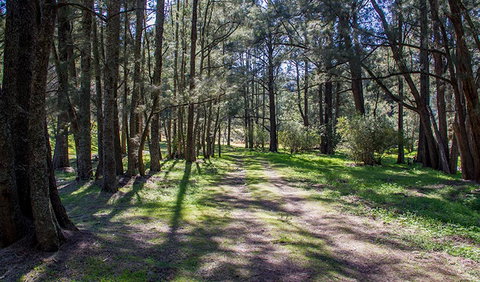 Wombeyan Waterfall Walking Track - Accommodation Cairns 0