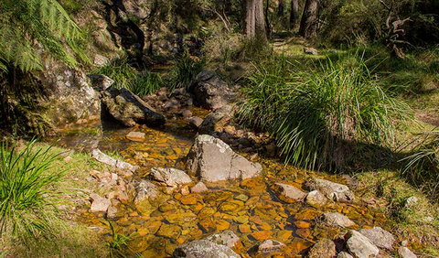 Wombeyan Waterfall Walking Track - Accommodation Cairns 1