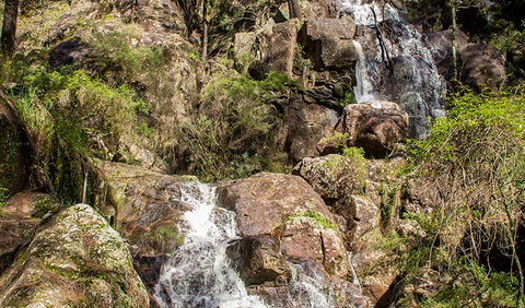 Wombeyan Waterfall Walking Track - Accommodation Cairns 3