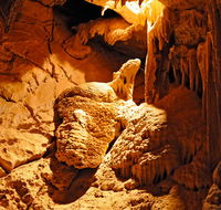 Fig Tree Cave - Accommodation Cairns
