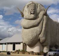 Big Merino - Accommodation Cairns