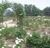 Victoria Park Rose Garden - Accommodation Cairns