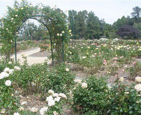 Victoria Park Rose Garden - Accommodation Cairns 0