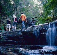 South Lawson Waterfall Circuit - Accommodation Cairns