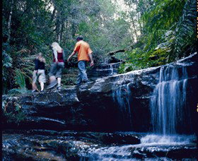 South Lawson Waterfall Circuit - Accommodation Cairns 0