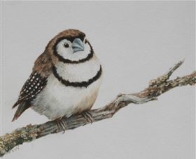 Bungendore Fine Art - Accommodation Cairns 1