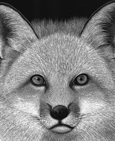 Bungendore Fine Art - Accommodation Cairns 2