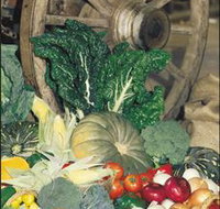 Mulgowie Real Farmers Markets - Accommodation Cairns