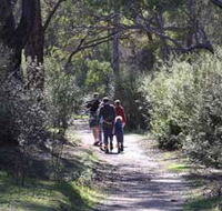 Syd's Rapids and Aboriginal Heritage Trail Avon Valley - Accommodation Cairns
