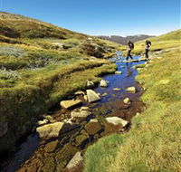 Australian Alps Walking Track - Accommodation Cairns