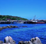 King Island Dairies - Accommodation Cairns