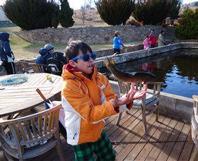 Eucumbene Trout Farm - Accommodation Cairns 2