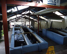 Eucumbene Trout Farm - Accommodation Cairns 5