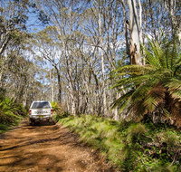 Barrington trail - Accommodation Cairns