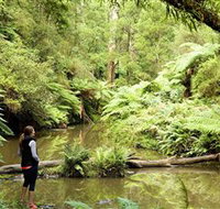 Morwell National Park - Accommodation Cairns