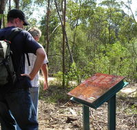 Finchley cultural walk - Accommodation Cairns