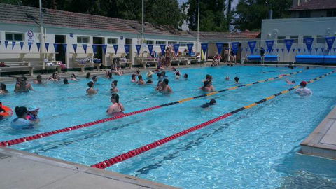 Manuka Pool - Accommodation Cairns 3