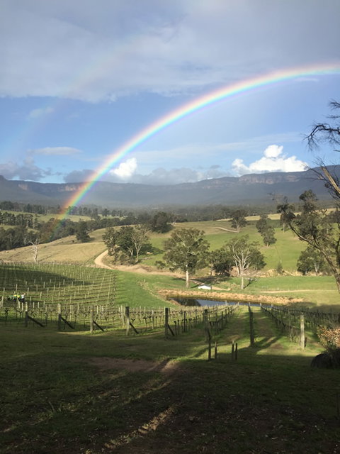Dryridge Estate - Accommodation Cairns 4