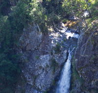 Lyrebird Falls walking track - Accommodation Cairns