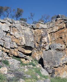 Badgingarra Nature Trail - Accommodation Cairns 0